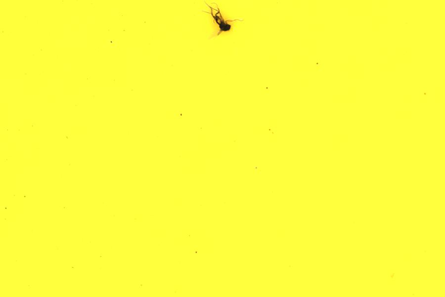 Image 14